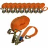 BAUMARKTPLUS 10x Profi Ratschen Spanngurt Spanngurte Zurrgurt 2-tlg 6m 2t 2to 2000kg TÜV/GS ORANGE -Seilwinden Sales 29545381 1