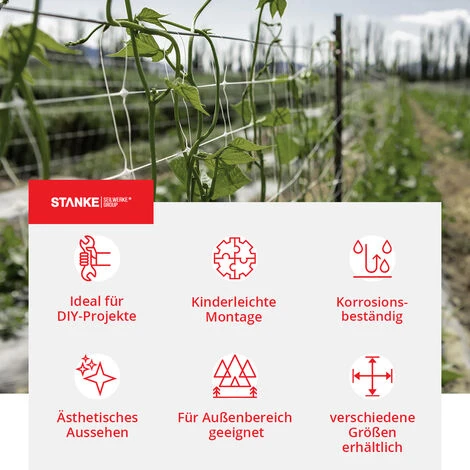 Seilwerk STANKE 5x Drahtseilklemme Eiform Größe 2 Für 2 Mm Drahtseile Aluminium Silumin Stahlseil Klemme 5 Seilwerk STANKE 5x Drahtseilklemme Eiform Größe 2 Für 2 Mm Drahtseile Aluminium Silumin Stahlseil Klemme – Bild 3