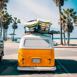 THSINDE Set Mit 2 Zurrgurten Mit 2,5 X 300 Cm Schnalle, Schwarze Farbe -Seilwinden Sales 52650375 2