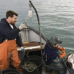 LITZEE 3 STÜCKE Edelstahl Doppelrolle Swivel Doppelrolle, Heberolle Laderolle, Edelstahlrolle, Einzelblockrolle, Edelstahl-Einzelrolle, M32-Heberolle 11 LITZEE 3 STÜCKE Edelstahl Doppelrolle Swivel Doppelrolle, Heberolle Laderolle, Edelstahlrolle, Einzelblockrolle, Edelstahl-Einzelrolle, M32-Heberolle -Seilwinden Sales 55918034 5