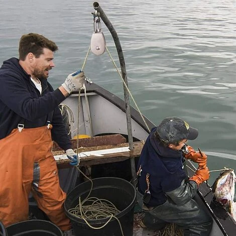 LITZEE 3 STÜCKE Edelstahl Doppelrolle Swivel Doppelrolle, Heberolle Laderolle, Edelstahlrolle, Einzelblockrolle, Edelstahl-Einzelrolle, M32-Heberolle 7 LITZEE 3 STÜCKE Edelstahl Doppelrolle Swivel Doppelrolle, Heberolle Laderolle, Edelstahlrolle, Einzelblockrolle, Edelstahl-Einzelrolle, M32-Heberolle – Bild 5