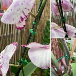 GESCHENKE 500 Stück Wiederverwendbare Kabelbinder (4,8 Mm X 200 Mm, Schwarz) 10 GESCHENKE 500 Stück Wiederverwendbare Kabelbinder (4,8 Mm X 200 Mm, Schwarz) -Seilwinden Sales 61392034 4